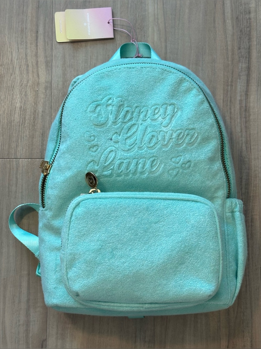 NWT Stoney Clover Bag (Target)